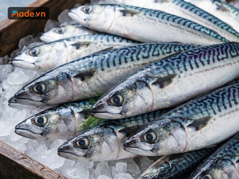 Cá nục là nguyên liệu làm mắm phổ biến ở nhiều vùng duyên hải miền Trung