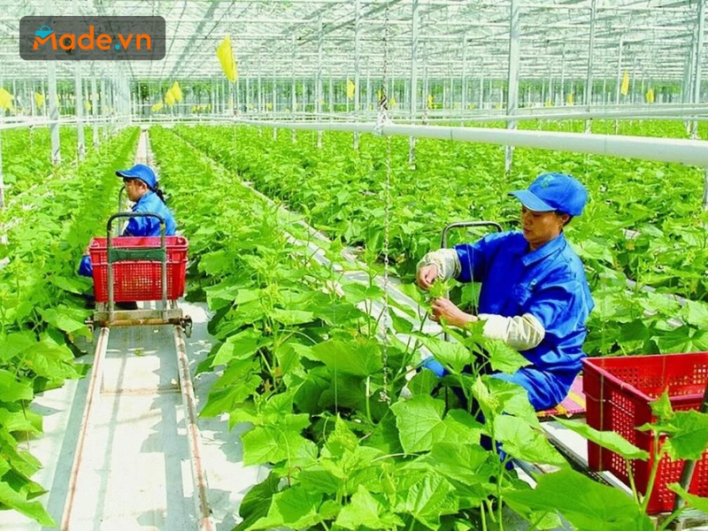 Các thương hiệu đang dần chuyển chuỗi cung ứng, ưu tiên lựa chọn các nguồn nông sản hữu cơ, thảo mộc tự nhiên