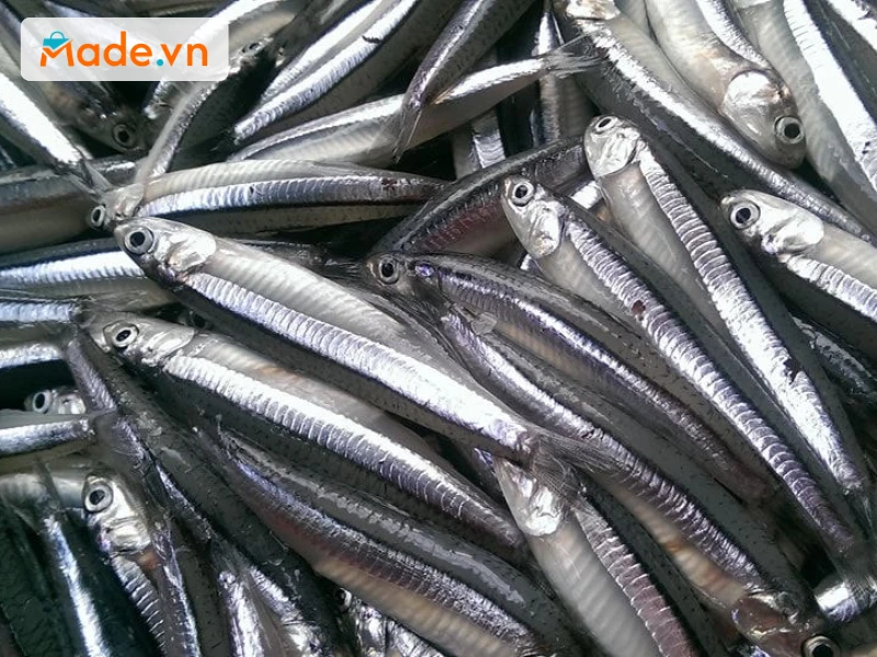 Cana sử dụng nguyên liệu cá cơm từ vùng nước trồi Cà Ná