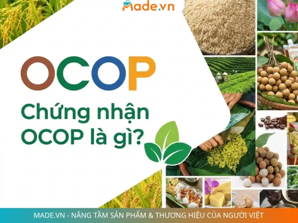 Chứng nhận OCOP là gì? ý nghĩa, tiêu chí và quy trình đạt chuẩn OCOP