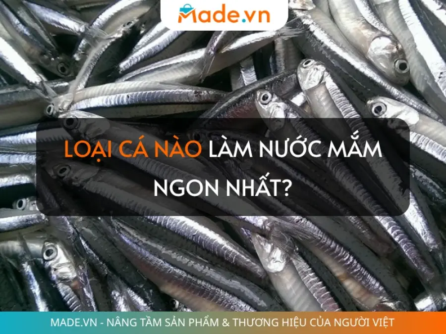 Nên chọn loại cá nào để làm nước mắm ngon nhất?