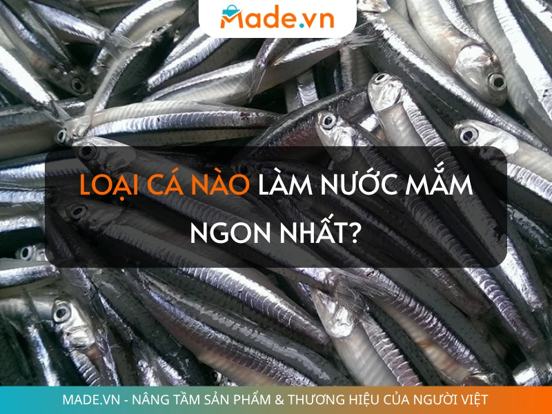Loại cá làm nước mắm ngon