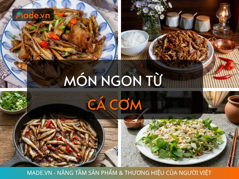 Món ngon từ cá cơm