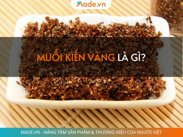 Muối kiến vàng là gì? Vị chua cay béo ngậy chuẩn vị Tây Nguyên
