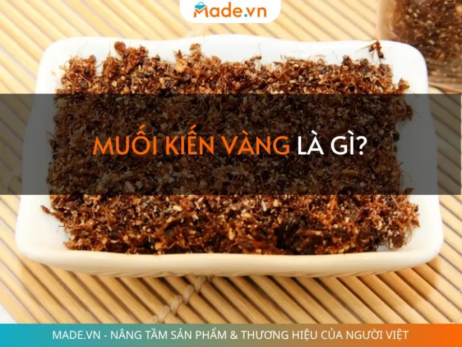 Muối kiến vàng là gì? Vị chua cay béo ngậy chuẩn vị Tây Nguyên