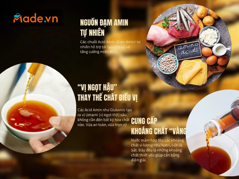 Nguồn đạm Amin tự nhiên dồi dào giúp cơ thể hấp thụ tối đa